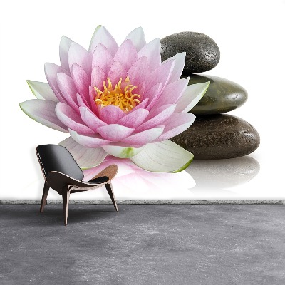 Wallpaper Lotus flower