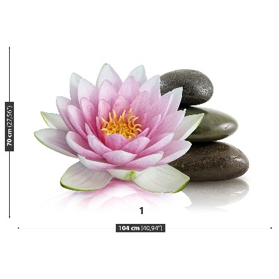 Wallpaper Lotus flower