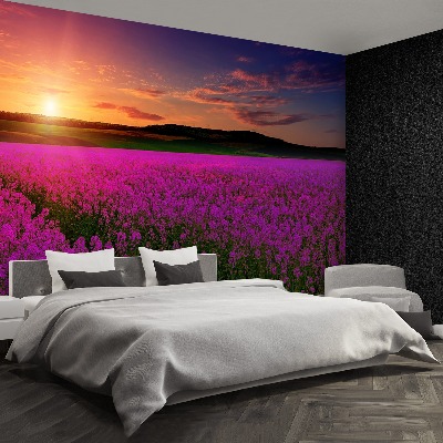 Wallpaper Pink meadow