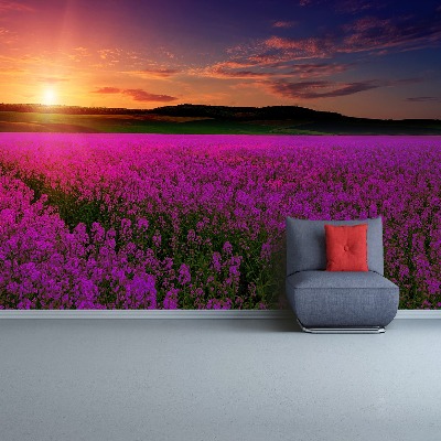 Wallpaper Pink meadow