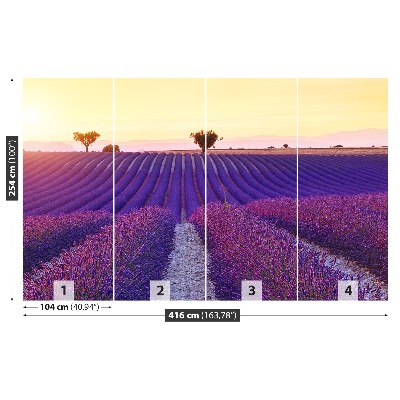 Wallpaper Lavender fields