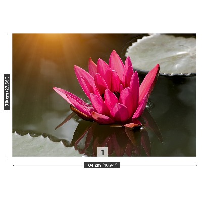 Wallpaper Water lily pink