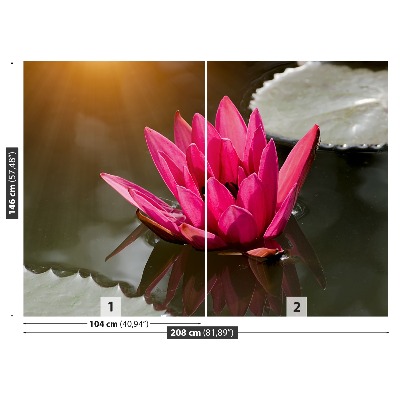 Wallpaper Water lily pink