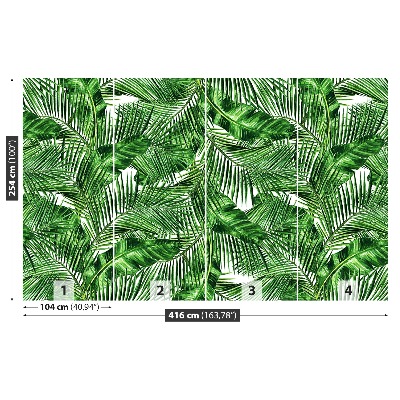 Wallpaper Tropical leaves