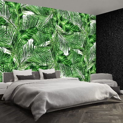 Wallpaper Tropical leaves