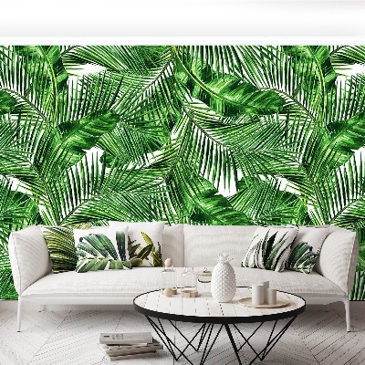 Wallpaper Tropical leaves