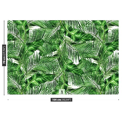 Wallpaper Tropical leaves