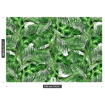 Wallpaper Tropical leaves