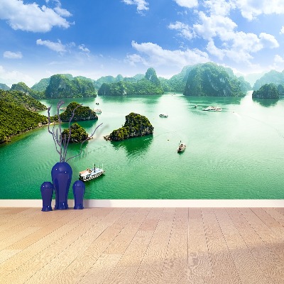 Wallpaper Bay in vietnam