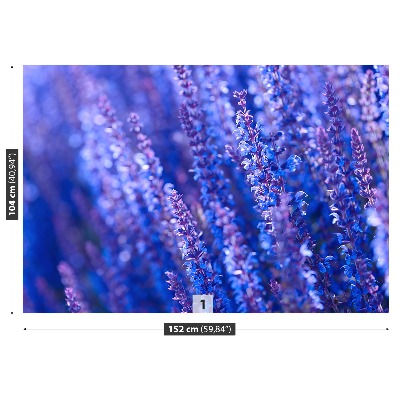 Wallpaper Lavender flowers