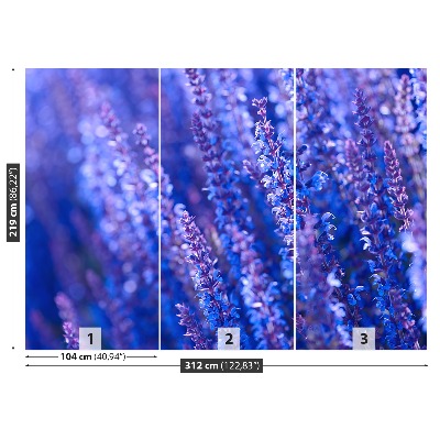 Wallpaper Lavender flowers