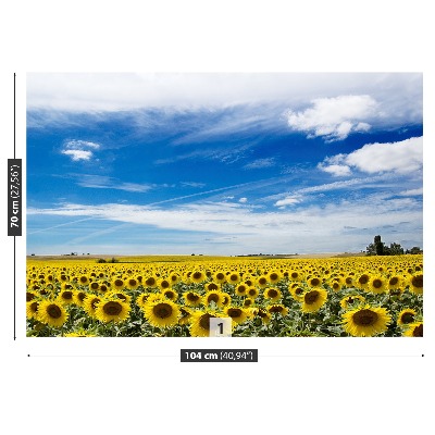 Wallpaper Field of sunflowers