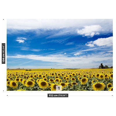 Wallpaper Field of sunflowers