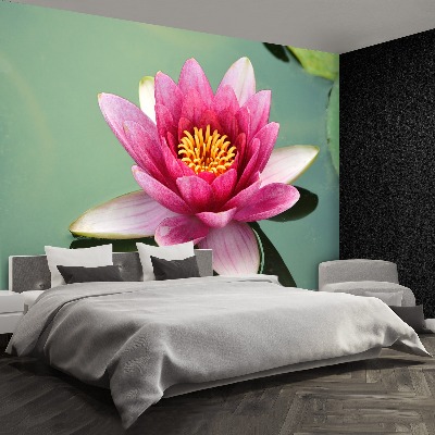 Wallpaper Lotus flower