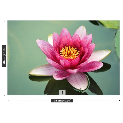 Wallpaper Lotus flower