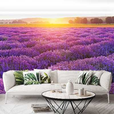 Wallpaper Lavender field