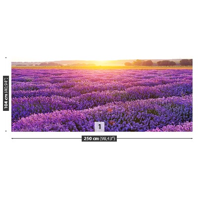 Wallpaper Lavender field