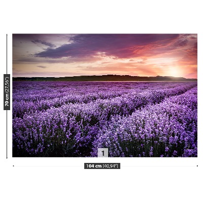 Wallpaper Lavender field