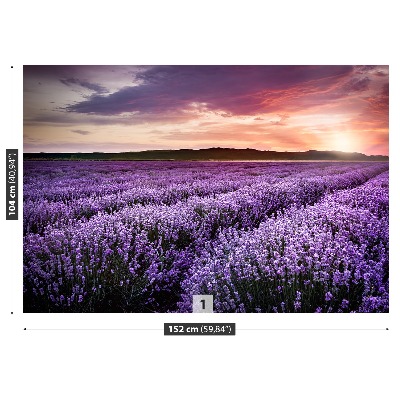 Wallpaper Lavender field