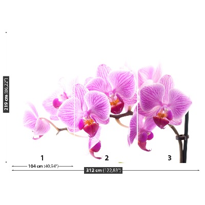 Wallpaper Pink orchid