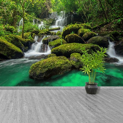 Wallpaper Waterfall in the jungle