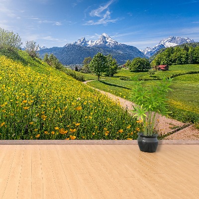 Wallpaper Idyllic alps