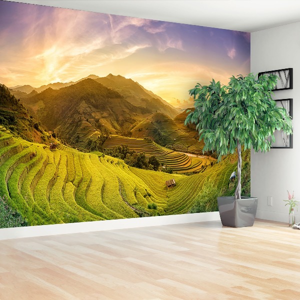 Wallpaper Rice fields