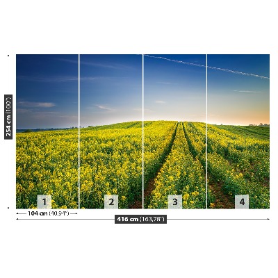 Wallpaper Rape fields