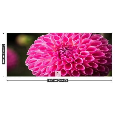 Wallpaper Dahlia pink