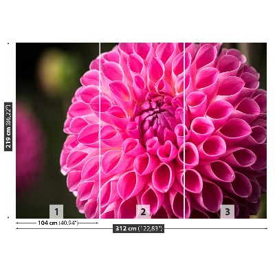 Wallpaper Dahlia pink