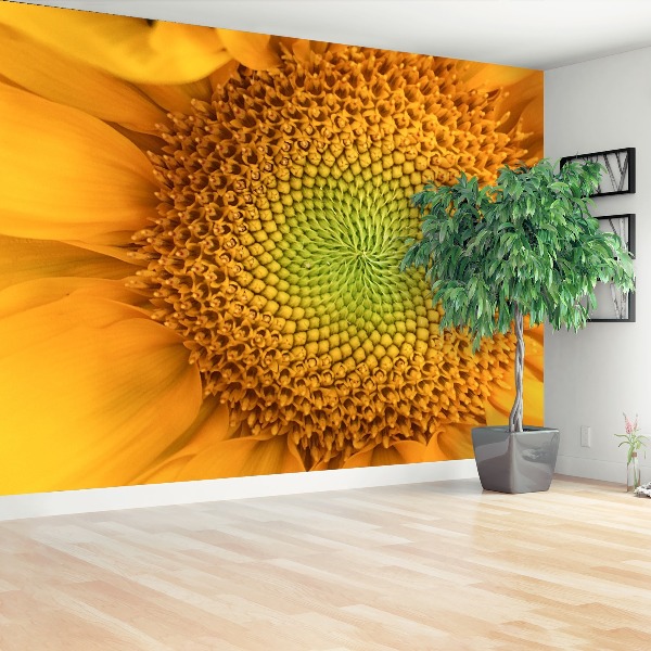 Wallpaper Sunflower