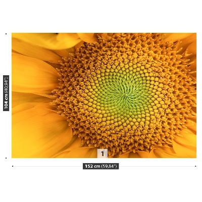 Wallpaper Sunflower