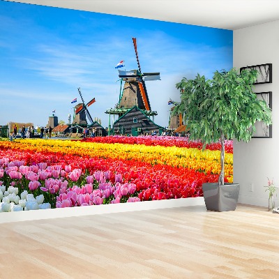 Wallpaper Tulips windmills