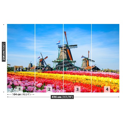 Wallpaper Tulips windmills