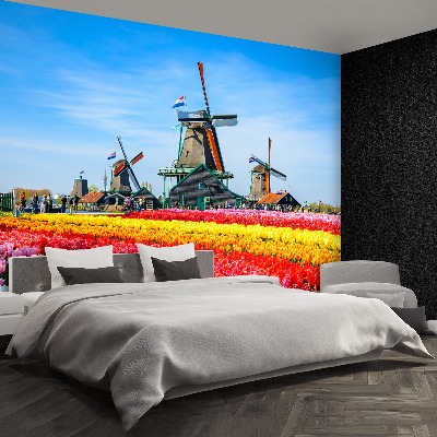 Wallpaper Tulips windmills