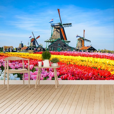 Wallpaper Tulips windmills