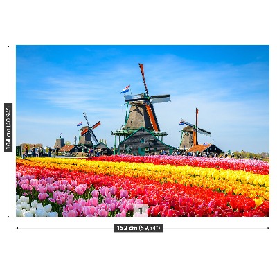 Wallpaper Tulips windmills