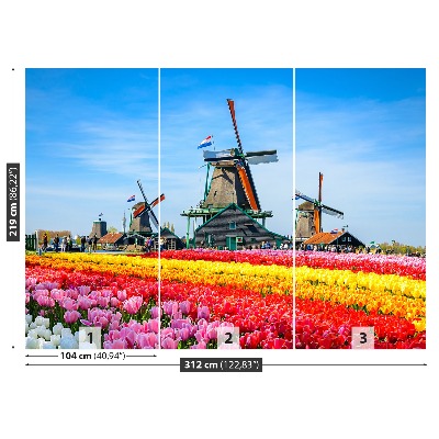 Wallpaper Tulips windmills