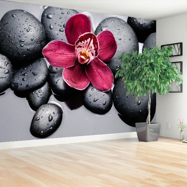 Wallpaper Orchid stones