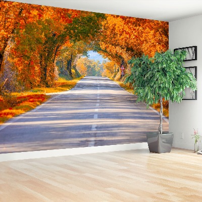 Wallpaper Road in the autumn