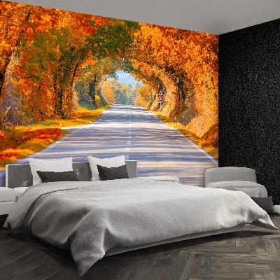 Wallpaper Road in the autumn