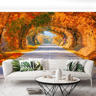 Wallpaper Road in the autumn