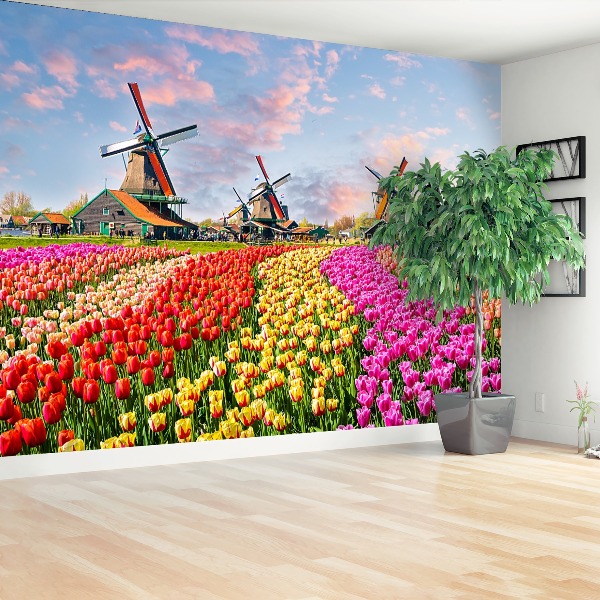 Wallpaper Tulips windmills