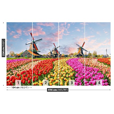 Wallpaper Tulips windmills