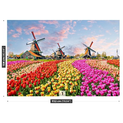 Wallpaper Tulips windmills