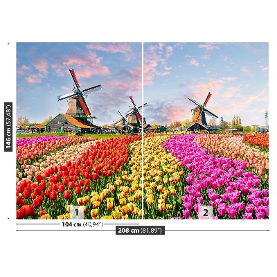 Wallpaper Tulips windmills