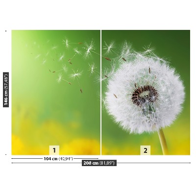 Wallpaper Dandelion