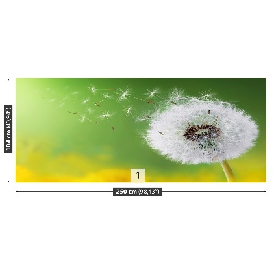 Wallpaper Dandelion