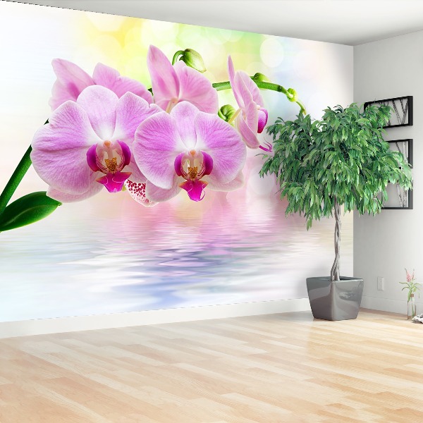 Wallpaper Orchid roses