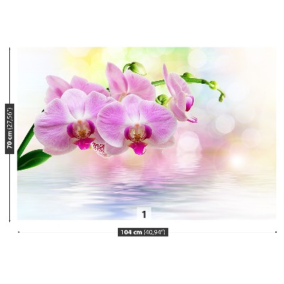 Wallpaper Orchid roses